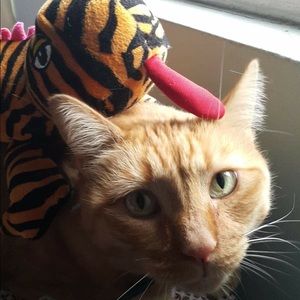 Meet your Posher, Lorraine